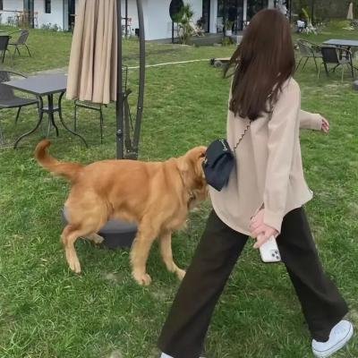曼哈顿女佣封面
